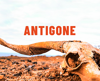 Antigone Antigone