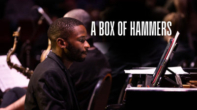 A box of hammers